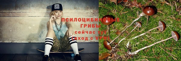 PSILOCYBIN Орехово-Зуево
