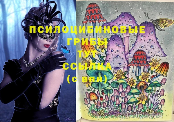 метадон Магас