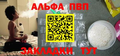 спиды Гай