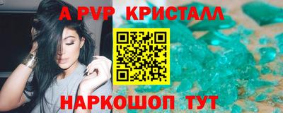 спиды Гай