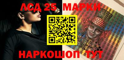 спиды Гай