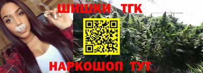 спиды Гай