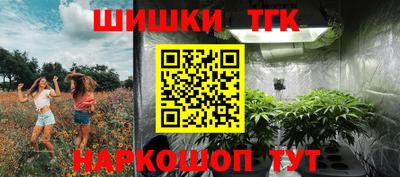 спиды Гай