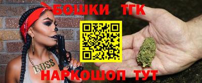 спиды Гай