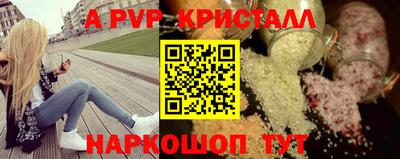 спиды Гай
