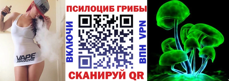 как найти закладки Нижний Новгород KRAKEN ТОР Галлюциногенные грибы Psilocybine cubensis