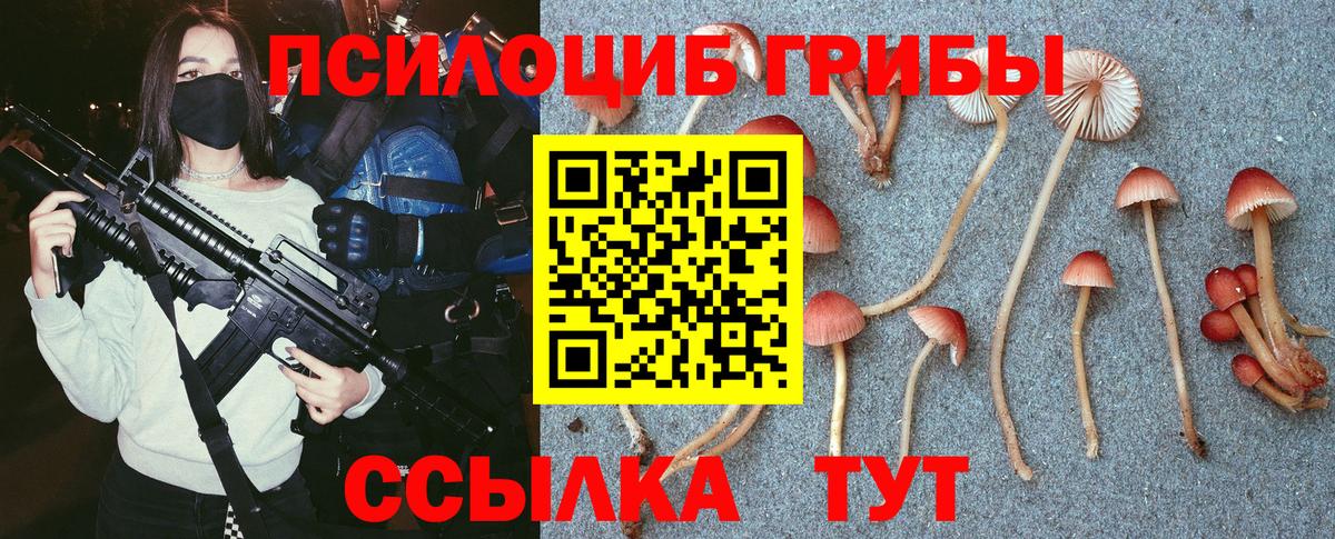 Галлюциногенные грибы Cubensis  Вход с VPN  Галлюциногенные грибы мицелий  Нижний Новгород 