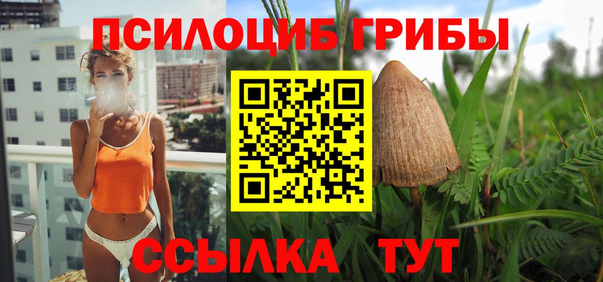Галлюциногенные грибы Psilocybe Нижний Новгород